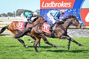 TRUE REBEL BREAKS THROUGH AT GEELONG